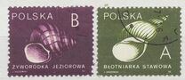 [Stamps for Domestic Mail: Shells of Snails, Tip DDD]