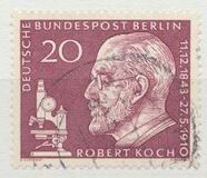 [In Memorial of Robert Koch, 類型 DE]