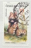 [Young Animals - European Hamster, Tip ZD]