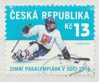 [Winter Paralympics - Sochi, Russia, Tipi ADH]