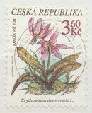 [Plants, type EF]