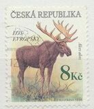 [Endangered Animals, type FY]