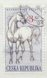[Kladrubski Horses, Typ DS]