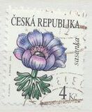 [The Beauty of Flowers - Anemone, tipas XS]