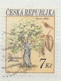 [Trees - Nature Conservation, Tipi Y]