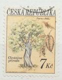 [Trees - Nature Conservation, Tipi Y]