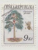 [Trees - Nature Conservation, Tipi Z]