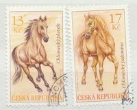 [Horses - Chlumetzer Dun & Chlumetzer Palomino, Tip ACV]