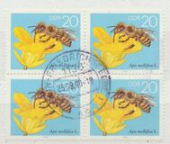 [Honey Bees, type DFT]