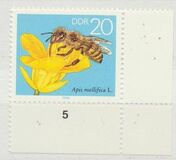 [Honey Bees, type DFT]