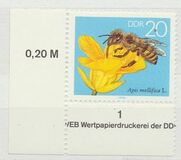 [Honey Bees, type DFT]
