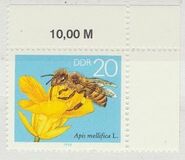 [Honey Bees, type DFT]
