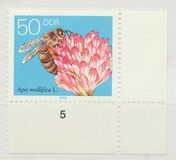 [Honey Bees, type DFU]