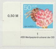 [Honey Bees, type DFU]