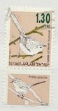 [Songbirds, Вид AUG]