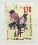 [Songbirds, Вид AUH]