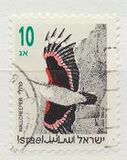 [Songbirds, type ATA]