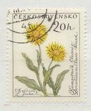 [Flowers, Tipo ZE]
