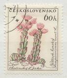 [Flowers, Tipo ZH]