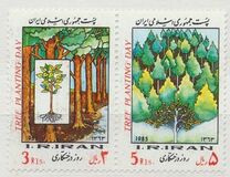 [Arbor Day, тип CLS]