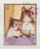 [Domestic Cats, Tip ZJ]