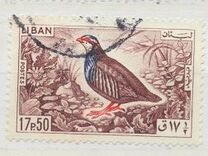 [Birds, type LU]