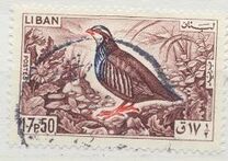 [Birds, type LU]