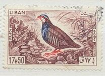 [Birds, type LU]