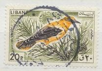 [Birds, type LV]