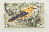 [Birds, type LV]