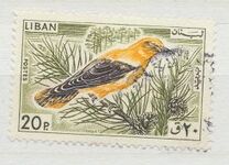 [Birds, type LV]