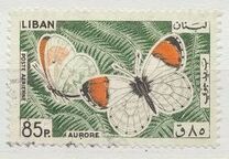 [Airmail - Butterflies, տեսակ MC]