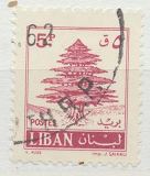 [Cedar of Lebanon - No Clouds, type HS1]