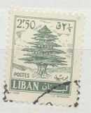 [Cedar of Lebanon - With Clouds, type HF]