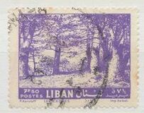 [Cedar of Lebanon, Zahle, type HV4]