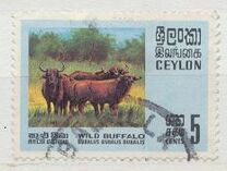 [Wildlife, Вид GB]