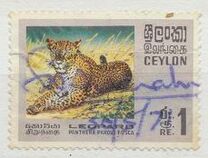 [Wildlife, Вид GE]