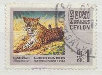 [Wildlife, Вид GE]