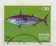 [Fish, տեսակ F]