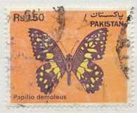 [Fauna - Butterflies, type PO]