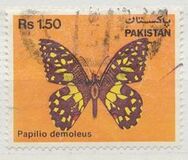[Fauna - Butterflies, type PO]