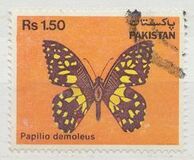 [Fauna - Butterflies, type PO]