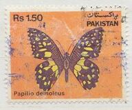[Fauna - Butterflies, type PO]