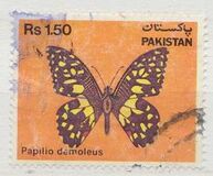 [Fauna - Butterflies, type PO]