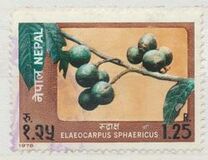 [Fruits, Scrivi IH]
