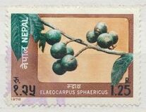 [Fruits, Scrivi IH]