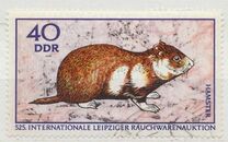 [International Fur Auction in Leipzig, tip ARX]