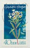 [Protected Plants, type ASU]