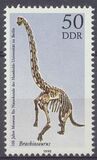 [The 100th Anniversary of the Natural History Museum, tip DGX]