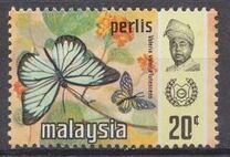[Butterflies, type BK]